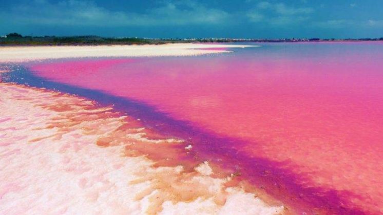 Il Lago Retba Lo Straordinario Lago Rosa Del Senegal